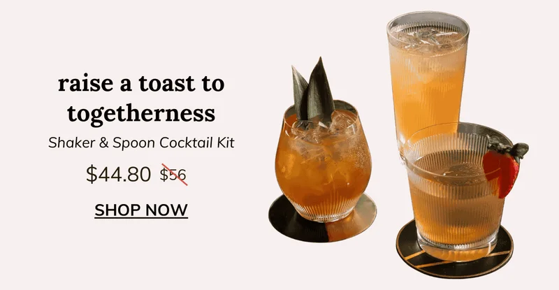 Shaker & Spoon Cocktail Kit