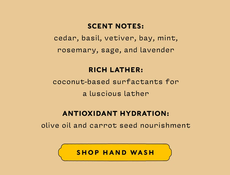 ✅Scent Notes: cedar, basil, vetiver, bay, mint, rosemary, sage, and lavender.  ✅Rich Lather: coconut-based surfactants for a luscious lather ✅ Antioxidant Hydration: olive oil and carrot seed nourishment