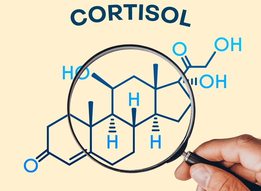 Cortisol