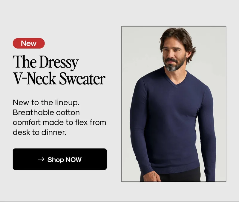 The Dressy V-Neck Sweater