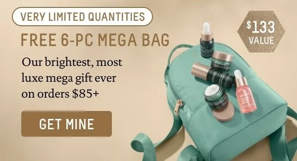 Free 6-PC Mega BAG ($133 Value)
