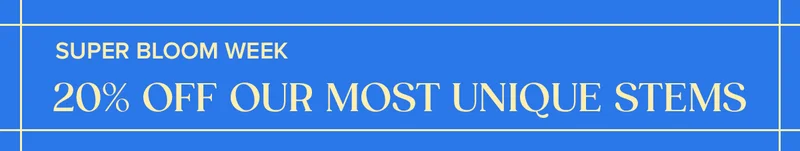 Super Bloom Week: 20% OFF OUR MOST UNIQUE STEMS! Use code BLOOM