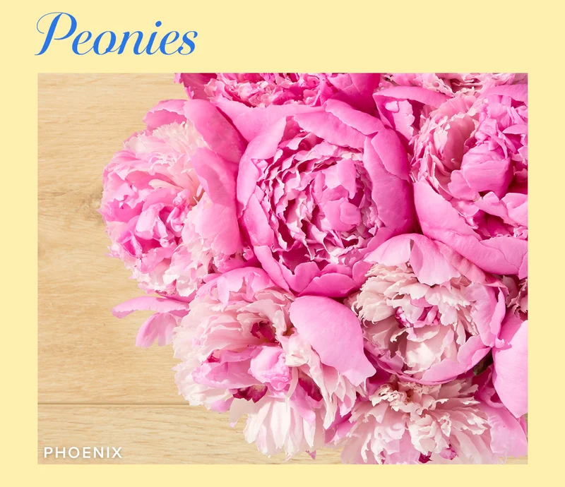 Peonies! Featured Bouq: Phoenix