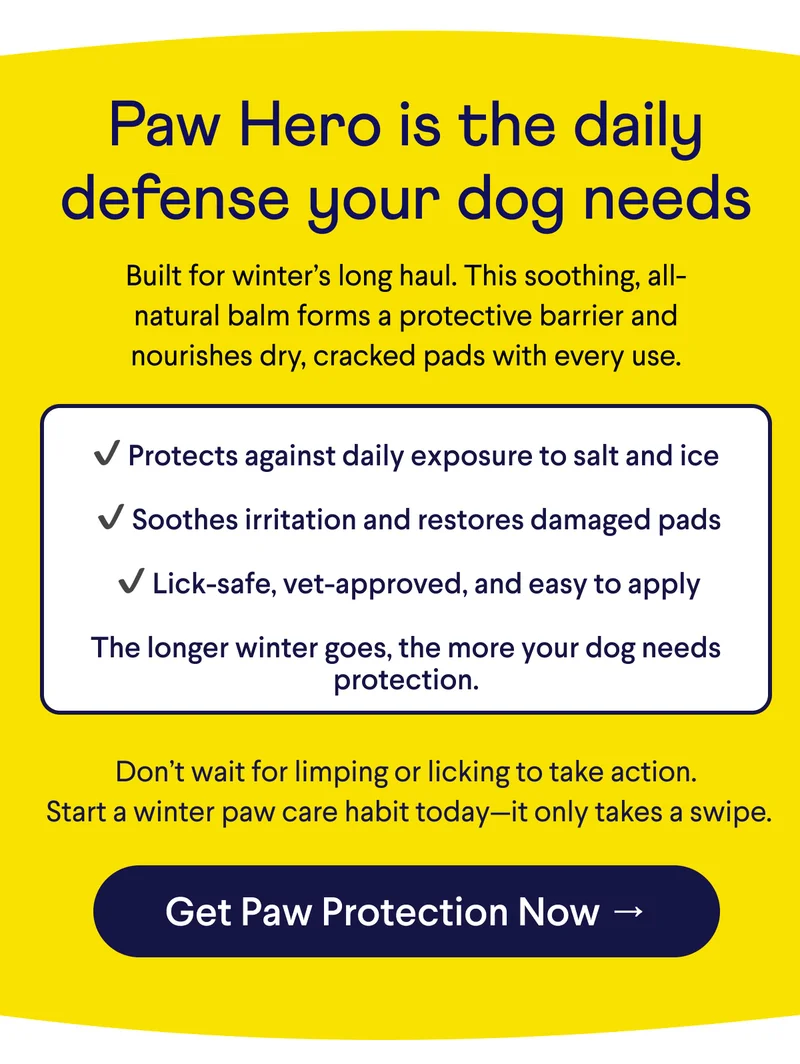 Text: Paw Hero is the daily defense your dog needs Built for winter’s long haul. This soothing, all-natural balm forms a protective barrier and nourishes dry, cracked pads with every use.  ✔ Protects against daily exposure to salt and ice   ✔ Soothes irritation and restores damaged pads   ✔ Lick-safe, vet-approved, and easy to apply  The longer winter goes, the more your dog needs protection.  Don’t wait for limping or licking to take action.  Start a winter paw care habit today—it only takes a swipe. CTA: Get Paw Protection Now →
