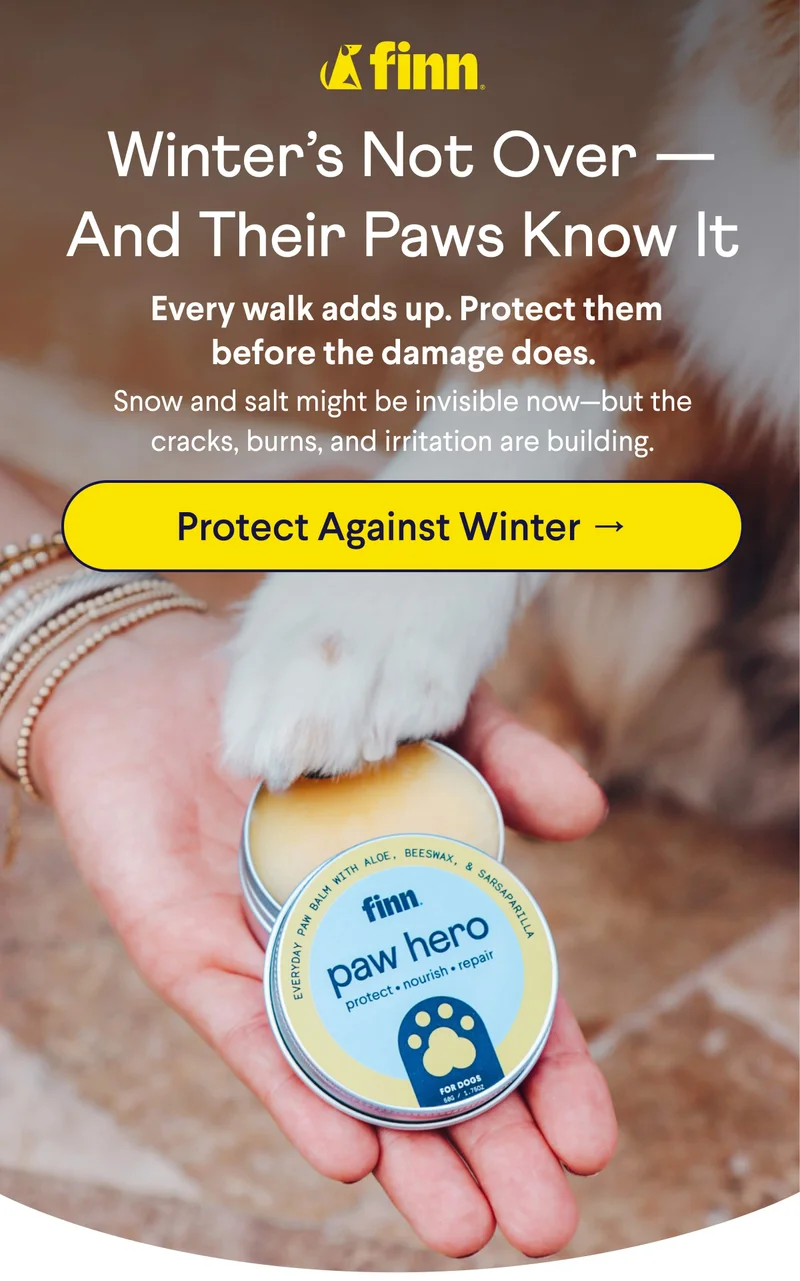 Finn logo. Text: &nbsp;Winter’s Not Over —And Their Paws Know It &nbsp;Every walk adds up. Protect them before the damage does. Snow and salt might be invisible now—but the cracks, burns, and irritation are building. CTA: Protect Against Winter →