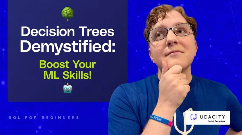 Decision Trees in ML Decision Trees in ML