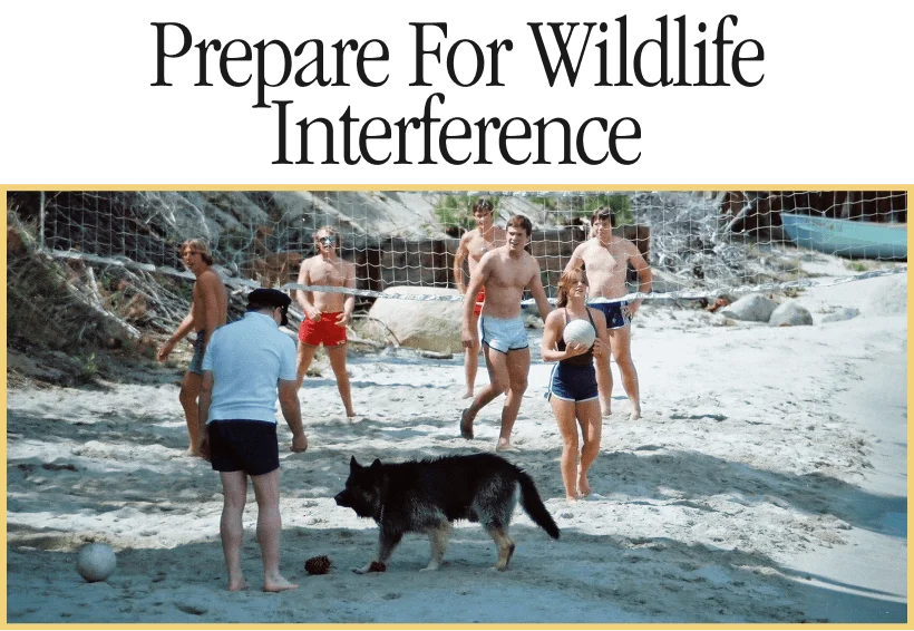 prepare for wildlife interference