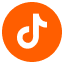 TikTok Icon