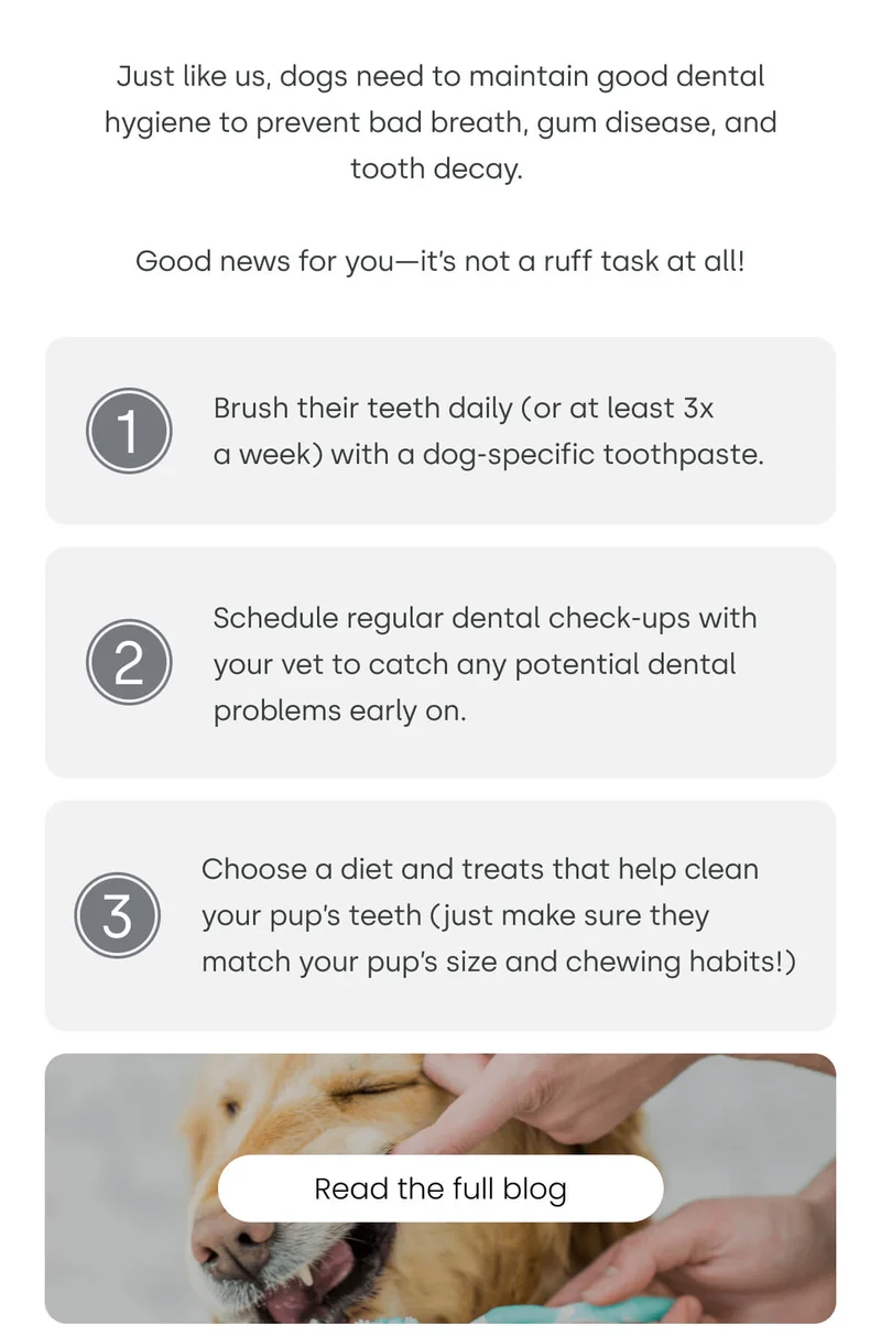 Good news for you—it’s not a ruff task at all! - Read the full blog