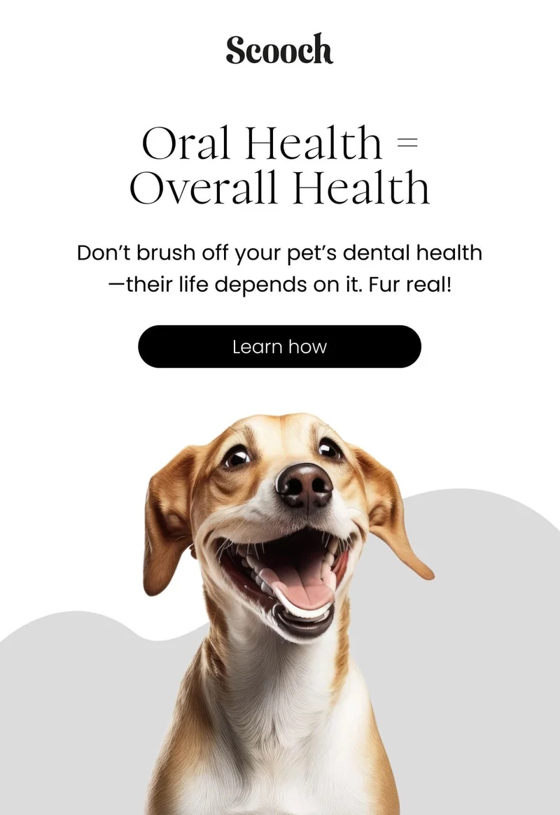 Don’t brush off your pet’s dental health—their life depends on it. Fur real! - Learn how