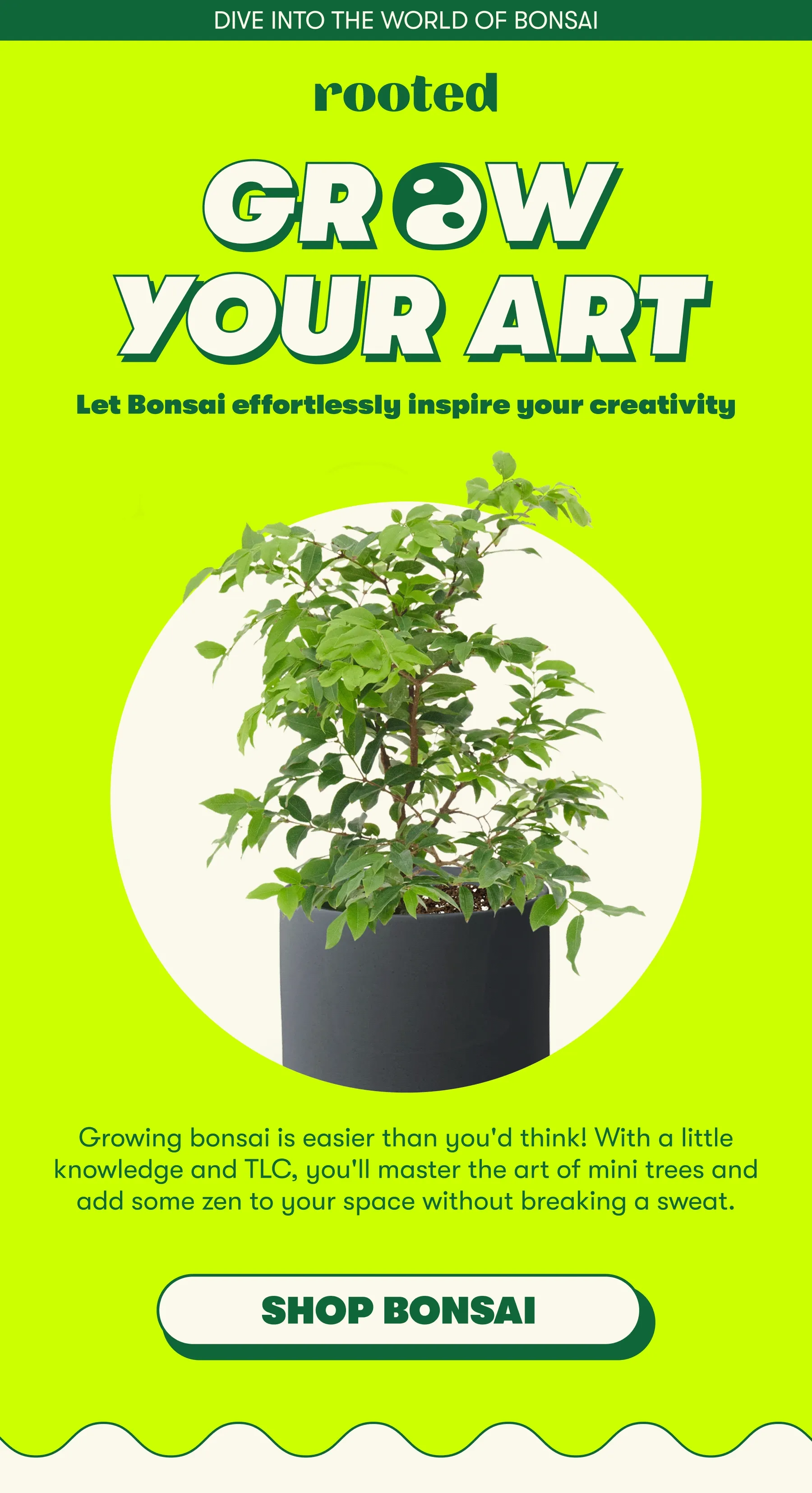 DIVE INTO THE WORLD OF BONSAI GROW YOUR ART  Let Bonsai effortlessly inspire your creativity   Growing bonsai is easier than you'd think! With a little knowledge and TLC, you'll master the art of mini trees and add some zen to your space without breaking a sweat.  [SHOP BONSAI]