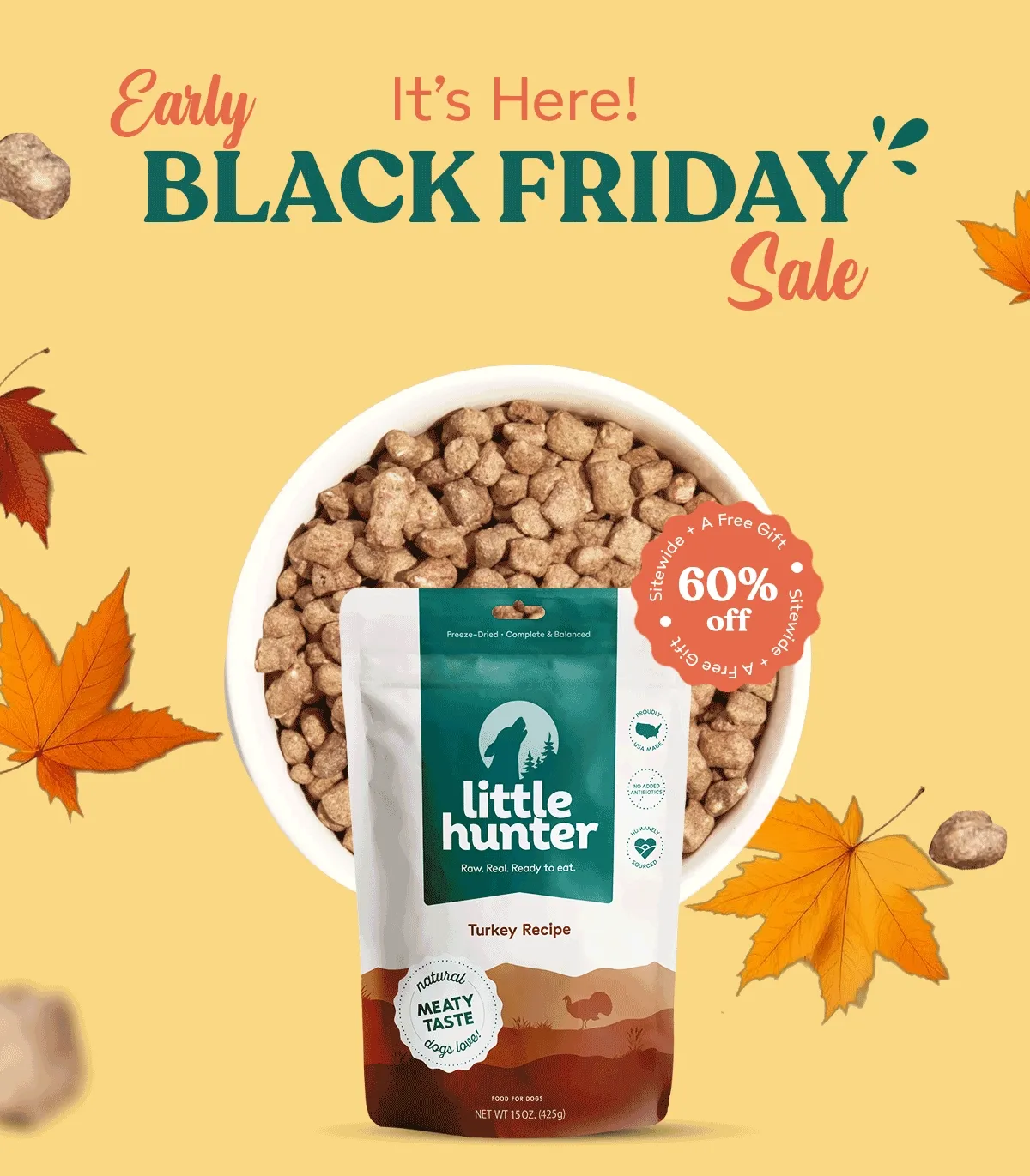 Early Access Black Friday Sale