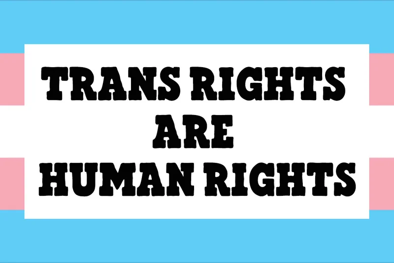Trans Rights Are Human Rights. Trans flag.
