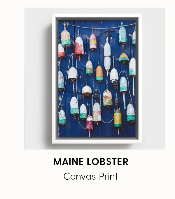 Maine Lobster | Canvas Print