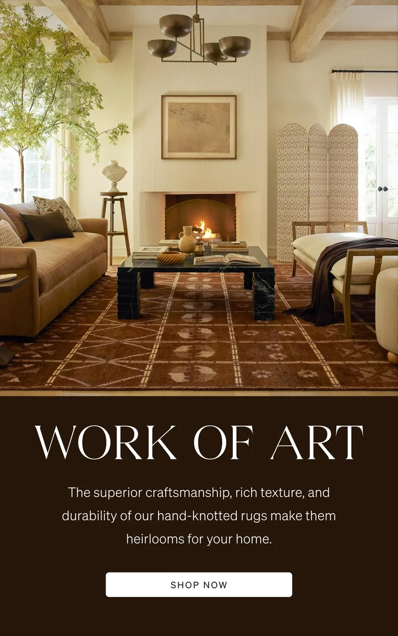 Shop Hand-Knotted Rugs