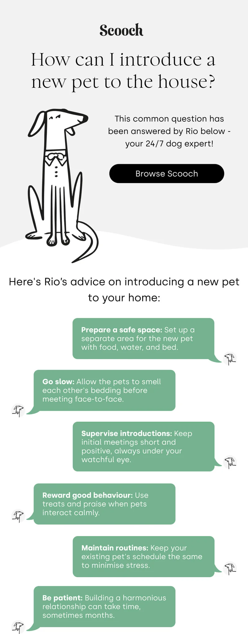 This common question has been answered by Rio below - your 24/7 dog expert! - Browse Scooch
