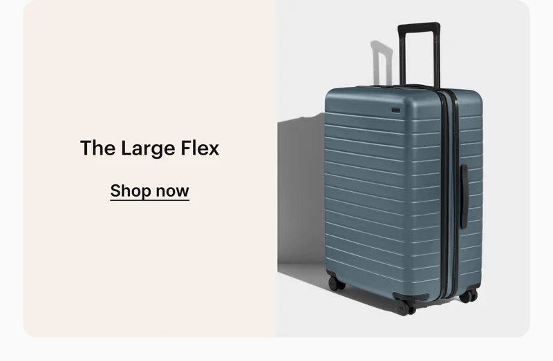 The Large Flex