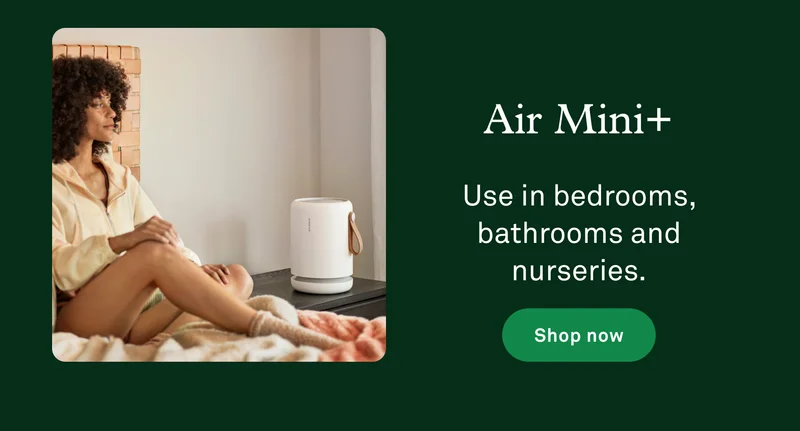 Air Mini+