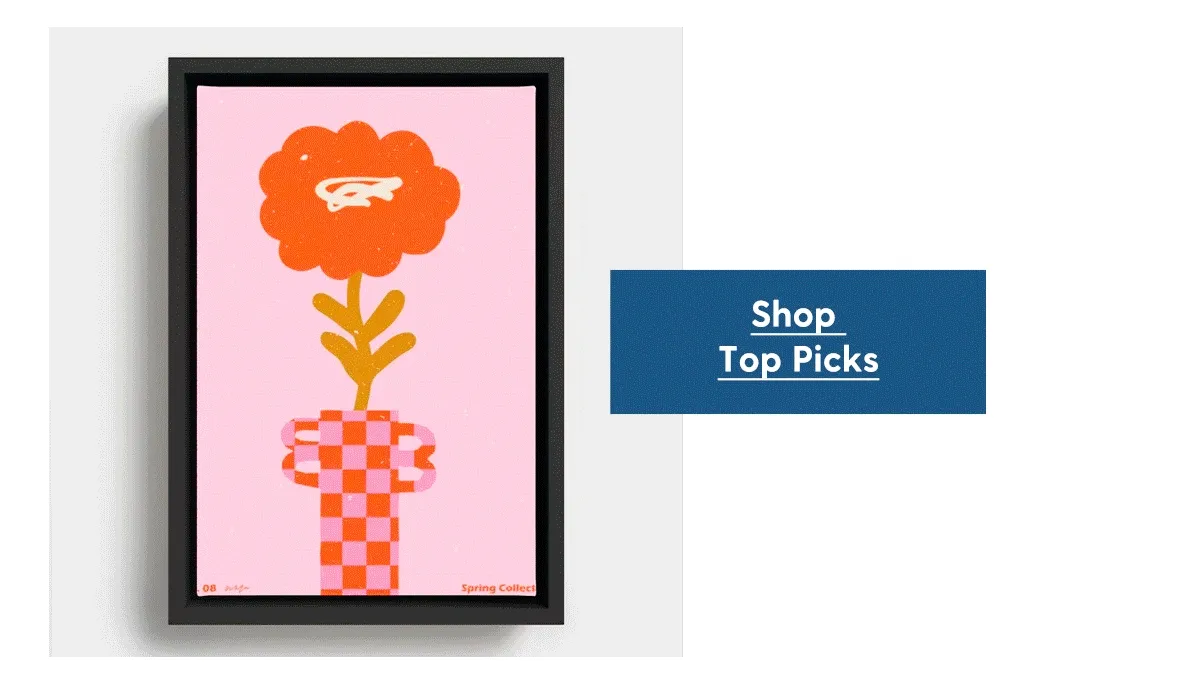 Shop Top Picks