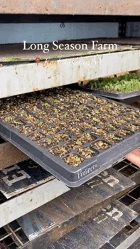 The first clip a person pulls out trays of seed starters with three paper tubes of balm nestled between a row. The second clip a person is scooping dirt into plant pots and uncovering a box and jar of skin cream.