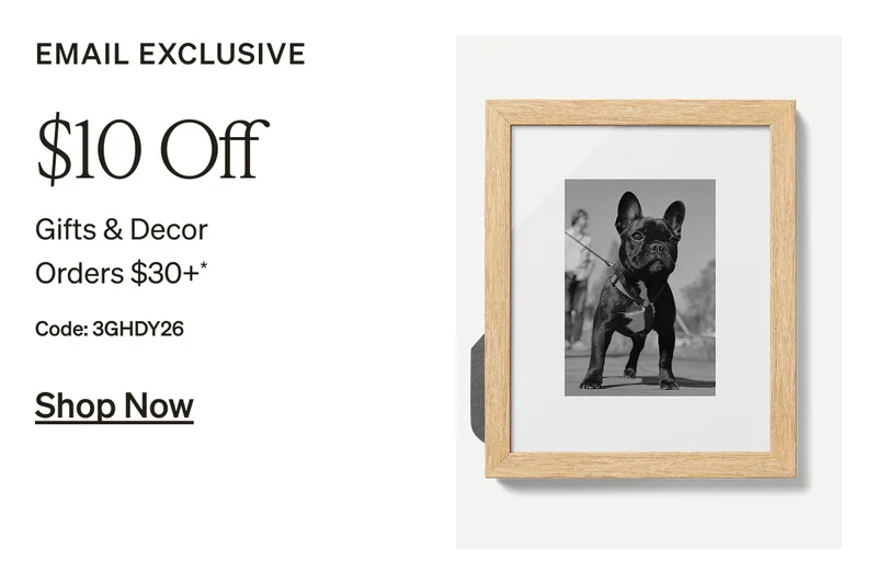Free Shipping No Minimum + Up to 40% Off Almost Everything