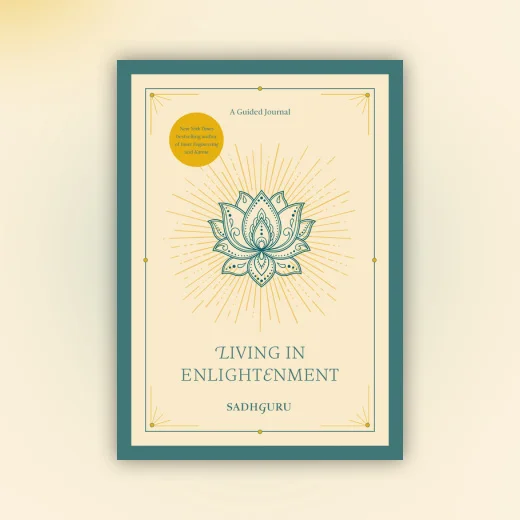 Living in Enlightenment