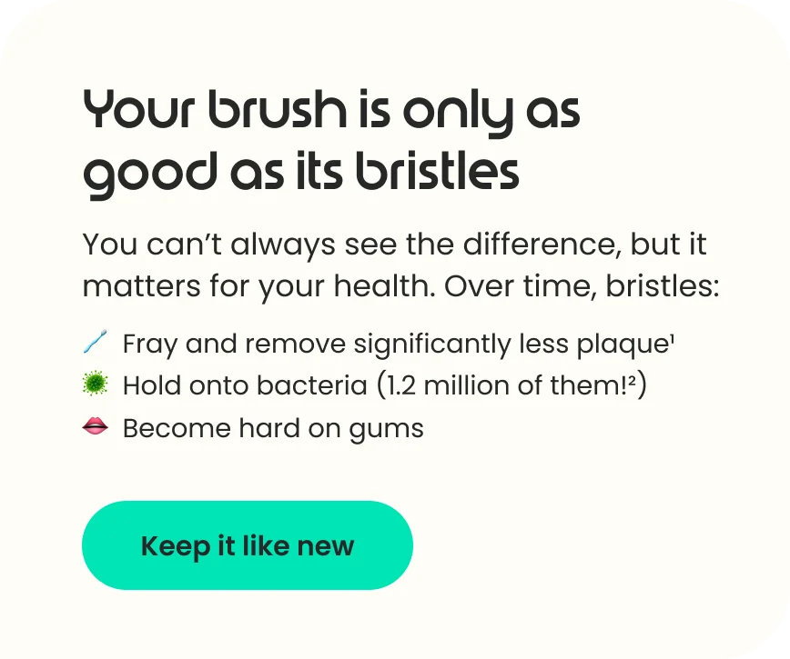 Shop Refills