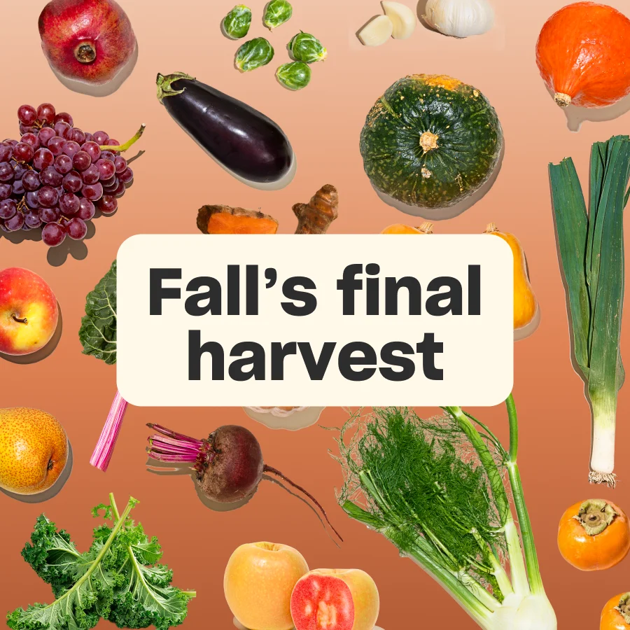 Fall's final harvest