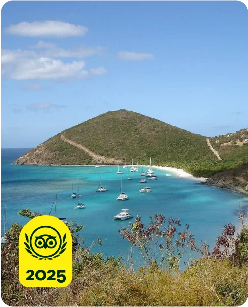Image Description: A beach with a green hill in the background.