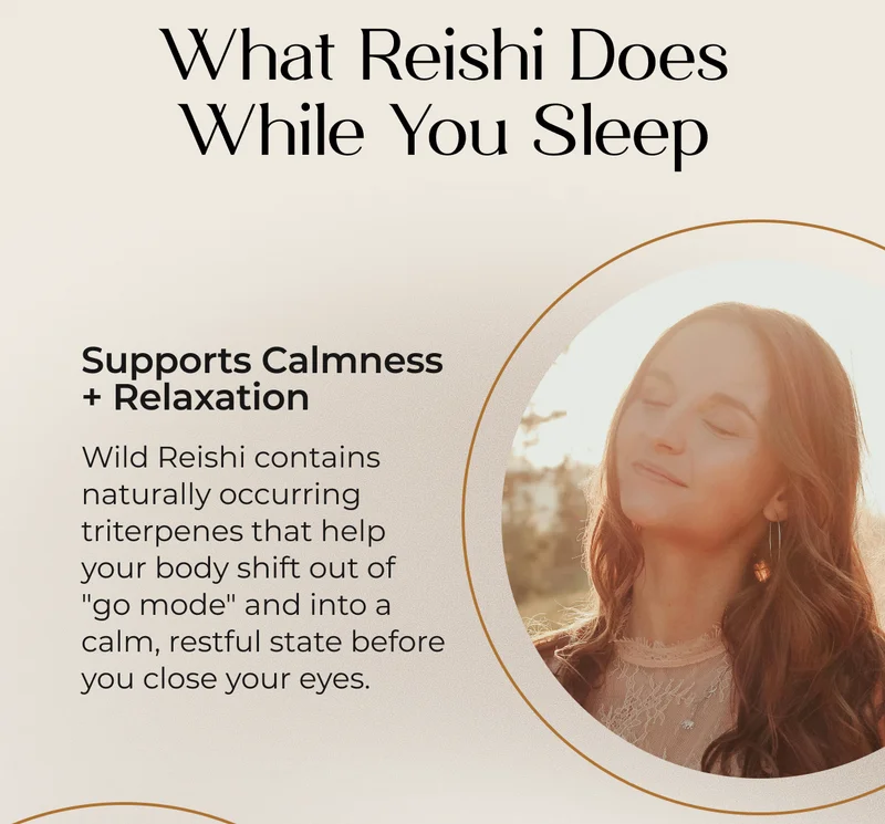 WHAT REISHI DOES WHILE YOU SLEEP