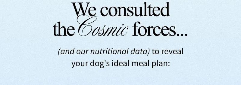 We consulted the Cosmic forces... (and our nutritional data) to reveal your dog's ideal meal plan: