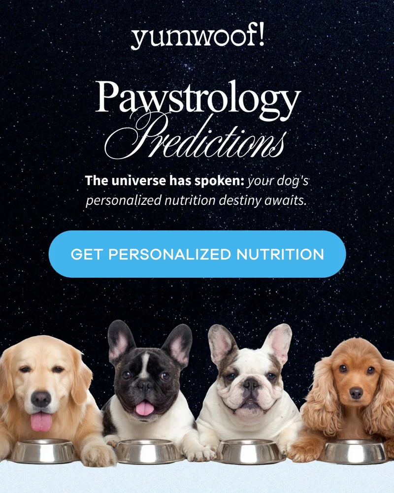 yumwoof! | Pawstrology Predictions | The universe has spoken: your dog's personalized nutrition destiny awaits. | GET PERSONALIZED NUTRITION