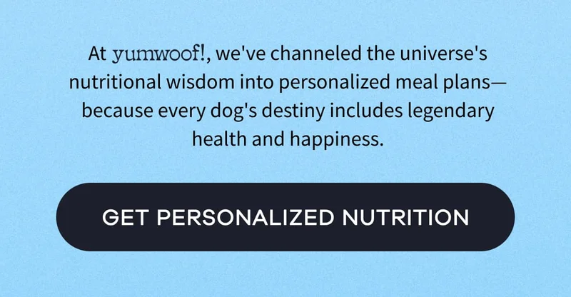At yumwoof! , we've channeled the universe's nutritional wisdom into personalized meal plans—because every dog's destiny includes legendary health and happiness. | GET PERSONALIZED NUTRITION