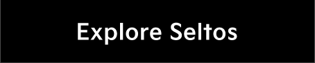 Explore Seltos