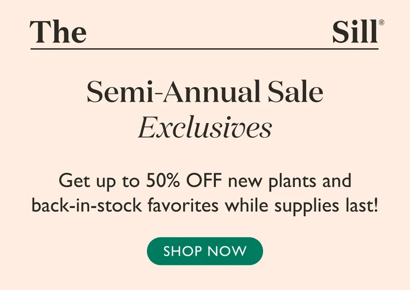 Get up to 50% off new plants and back-in-stock favorites during our semi-annual sale! While supplies last.