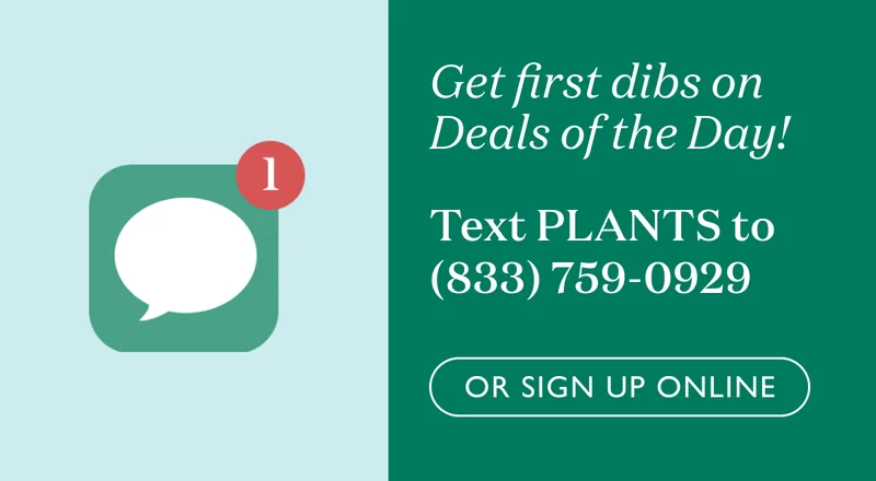 Get first dibs on Deals of the Day! Text PLANTS to 833-759-0929, or sign up online.