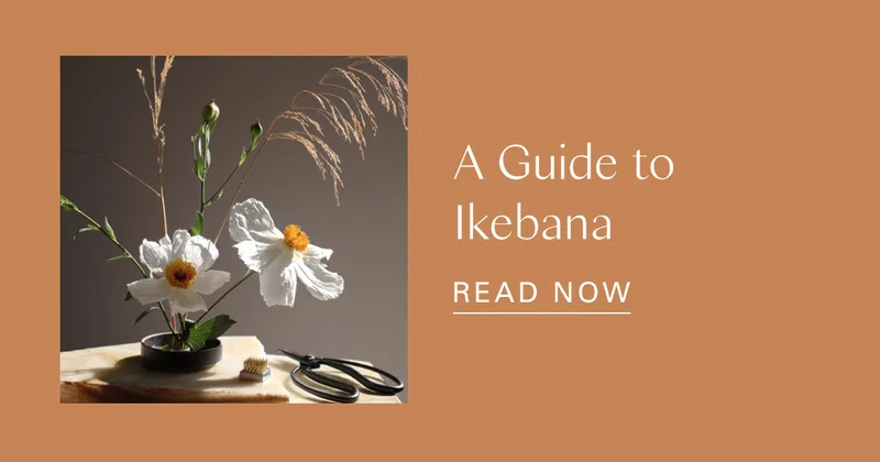 A Guide to Ikebana