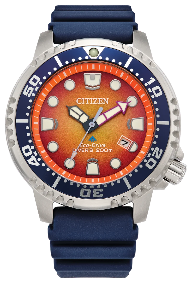 Image of Promaster Dive