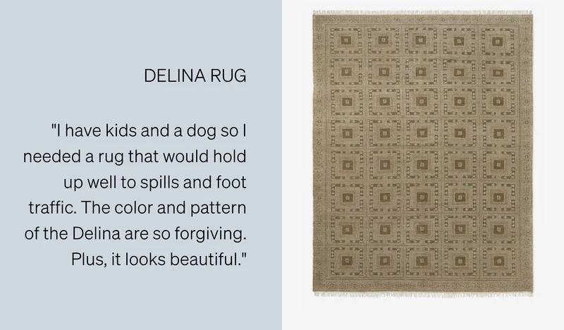 Shop Delina Rug