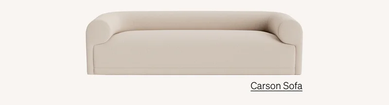 Shop Carson Sofa