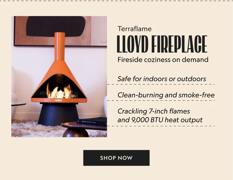 Lloyd Indoor/Outdoor Fireplace