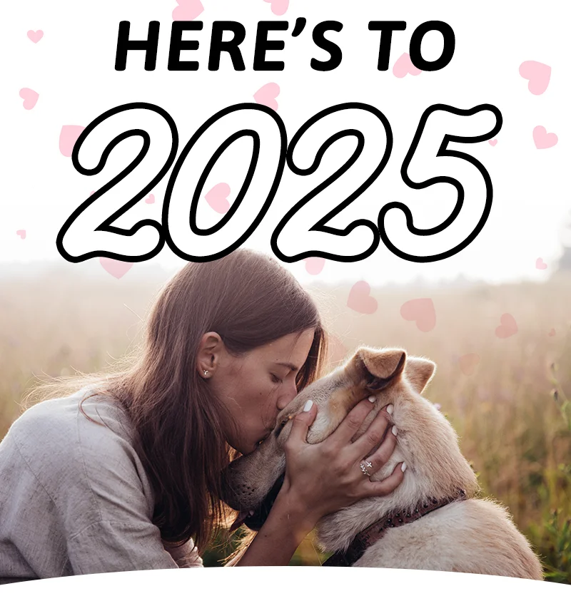 Here's to 2025