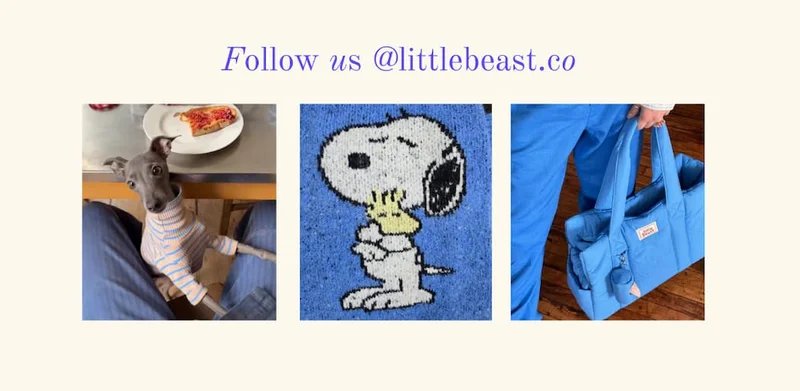 Follow us on Instagram