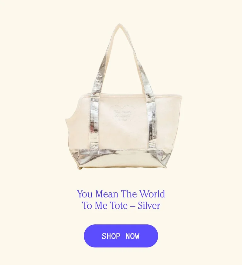 You Mean The World To Me Tote – Silver