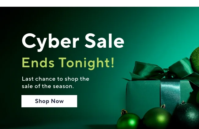 Cyber Sale