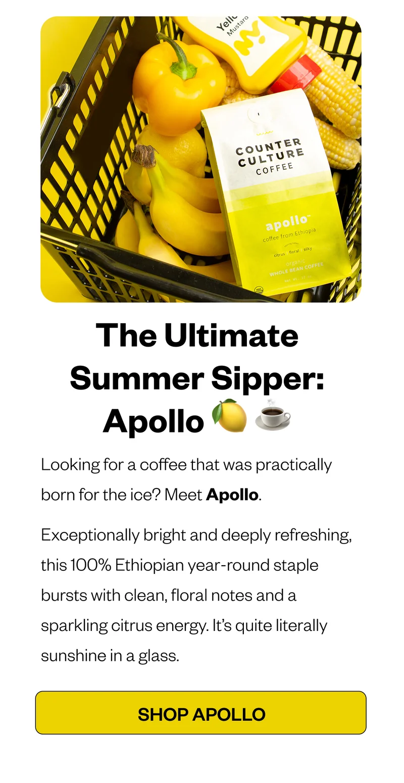 The Ultimate Summer Sipper: Apollo 🍋☕️ Looking for a coffee that was practically born for the ice? Meet Apollo. Exceptionally bright and deeply refreshing, this 100% Ethiopian year-round staple bursts with clean, floral notes and a sparkling citrus energy. It’s quite literally sunshine in a glass. CTA: SHOP APOLLO The Ultimate Summer Sipper: Apollo 🍋☕️ Looking for a coffee that was practically born for the ice? Meet Apollo. Exceptionally bright and deeply refreshing, this 100% Ethiopian year-round staple bursts with clean, floral notes and a sparkling citrus energy. It’s quite literally sunshine in a glass. CTA: SHOP APOLLO