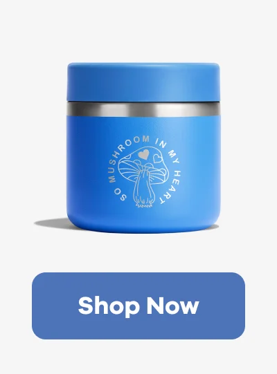 20 oz Insulated Food Jar | Shop Now