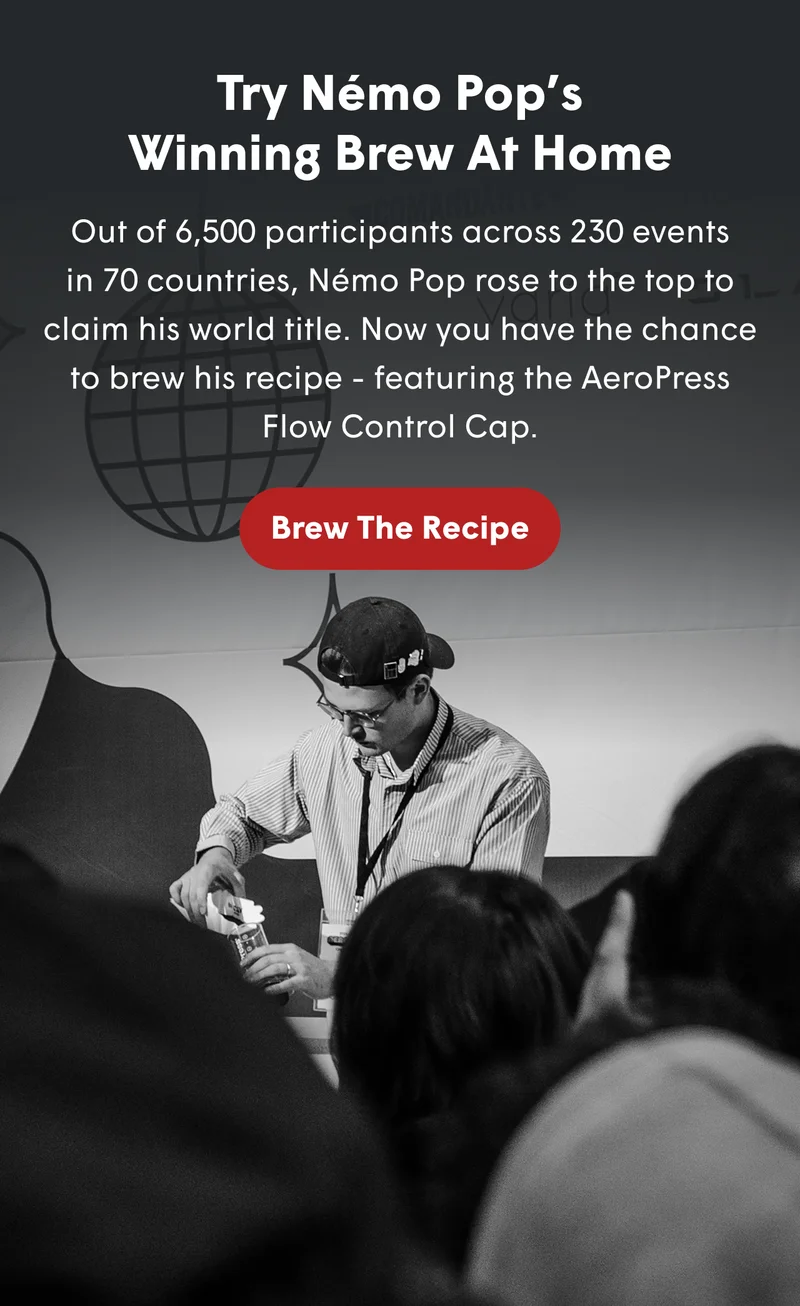 Brew the recipe