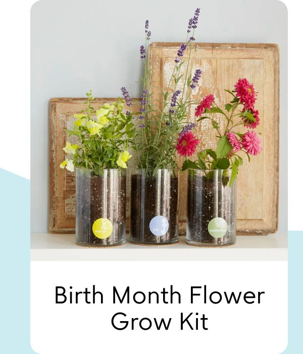 Birth Month Flower Grow Kit