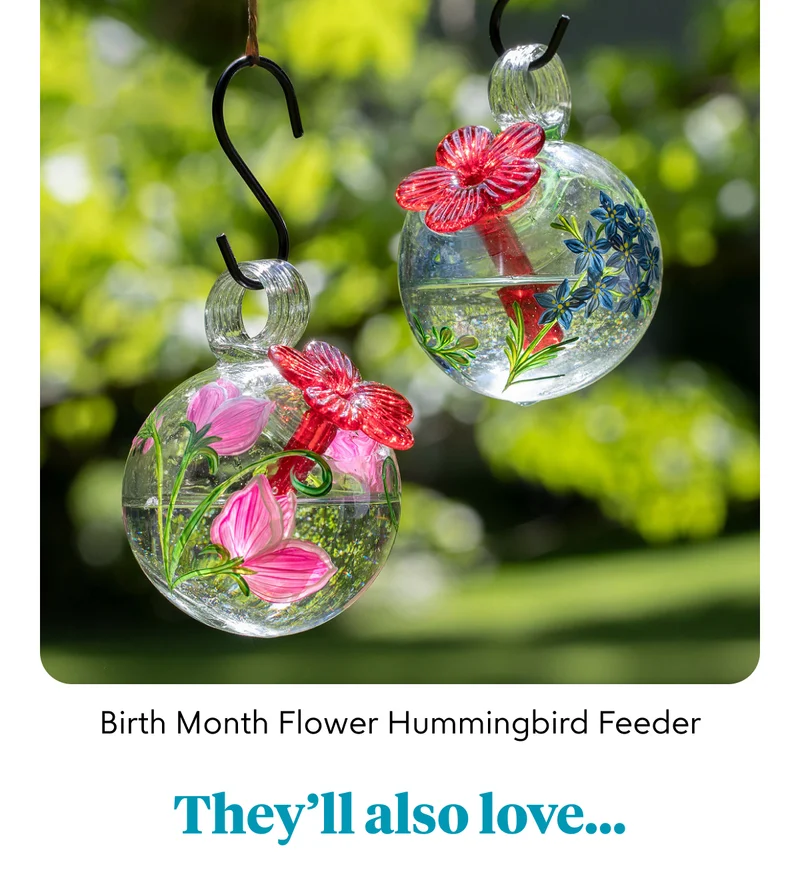 Birth Month Flower Hummingbird Feeder